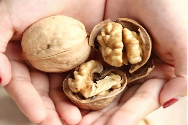 薄皮核桃價(jià)格多少錢一斤 薄皮核桃的功效與作用