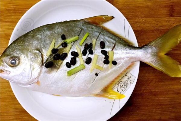 白鯧魚多少錢一斤 白鯧魚市場(chǎng)行情