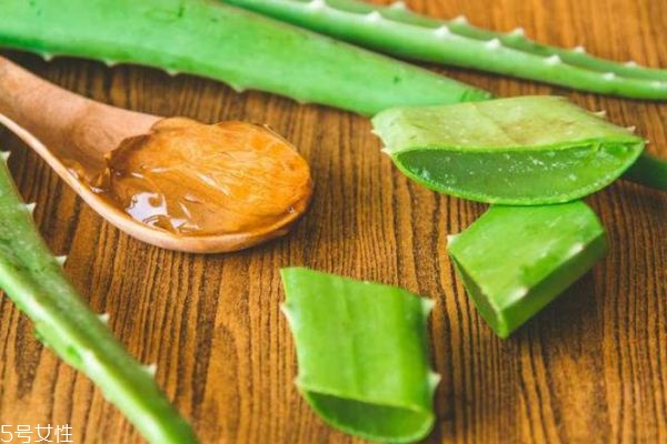 蘆薈膠適合油皮嗎 蘆薈膠可以用來(lái)抹痘痘嗎