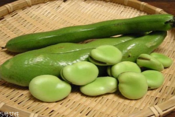 蠶豆有什么營養(yǎng)價(jià)值呢 蠶豆的熱量有多少呢