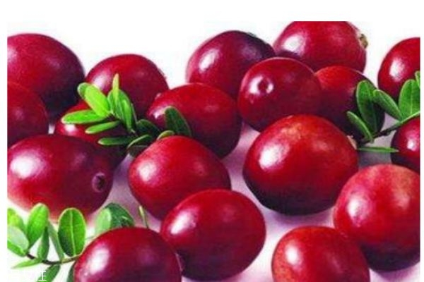 蔓越莓有什么營養(yǎng)價(jià)值呢 吃蔓越莓有什么好處呢