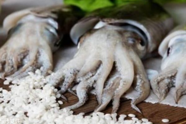 墨魚(yú)是魚(yú)嗎 墨魚(yú)有什么營(yíng)養(yǎng)價(jià)值呢