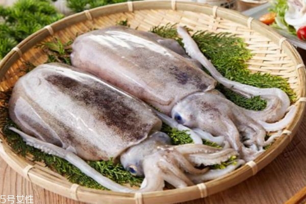 墨魚(yú)是魚(yú)嗎 墨魚(yú)有什么營(yíng)養(yǎng)價(jià)值呢