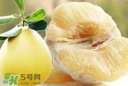 蜜柚是哪個(gè)季節(jié)的水果？蜜柚和沙田柚的區(qū)別是什么？