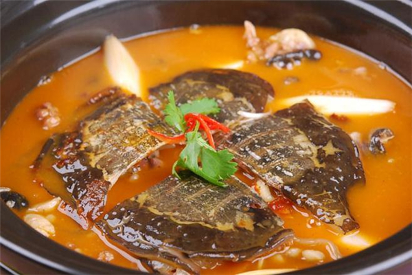 甲魚(yú)的熱量高嗎 減肥期間可以吃甲魚(yú)嗎