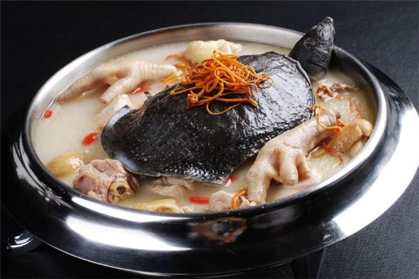 甲魚(yú)的熱量高嗎 減肥期間可以吃甲魚(yú)嗎