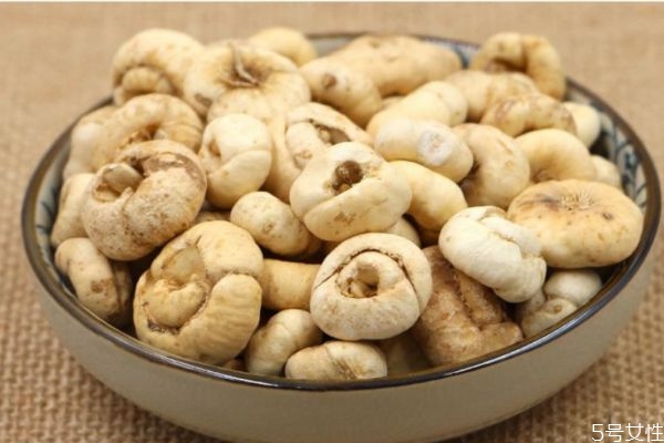 什么是大貝母呢 大貝母有什么藥用價(jià)值呢