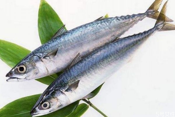 鰱魚有什么營養(yǎng)價(jià)值呢 吃鰱魚有什么好處呢