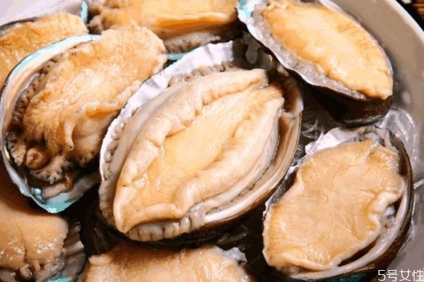 鮑魚(yú)的生長(zhǎng)環(huán)境是怎么樣的呢 鮑魚(yú)好吃嗎