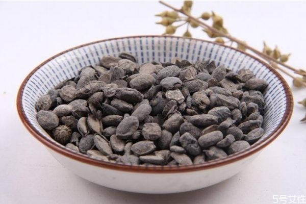 什么是淡豆鼓呢 淡豆鼓有什么營養(yǎng)價(jià)值呢