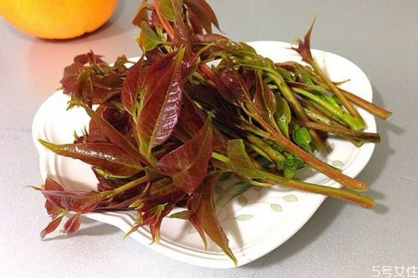 什么是香椿頭呢 香椿頭有什么營養(yǎng)價值呢