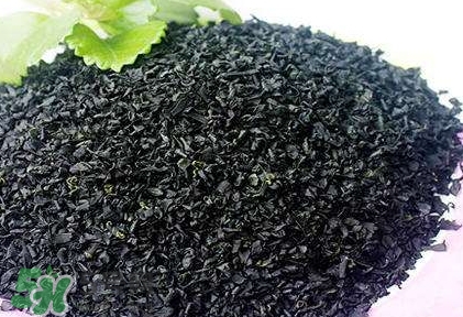 怎么辨別螺旋藻的真假？買螺旋藻怎么挑？
