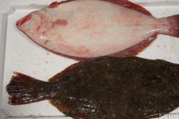 什么是小嘴魚呢 小嘴魚有什么營(yíng)養(yǎng)價(jià)值呢