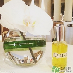 lamer海藍(lán)之謎精華油多少錢？海藍(lán)之謎renewal oil面油價格