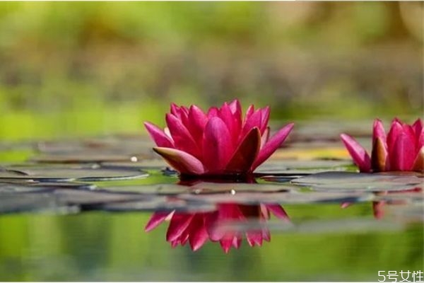 網(wǎng)上認識的相親男怎么發(fā)展 網(wǎng)上相親的男人聊天不主動