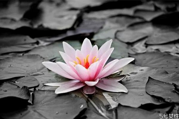 網(wǎng)上認識的相親男怎么發(fā)展 網(wǎng)上相親的男人聊天不主動