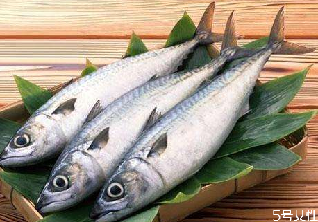 膽固醇高可以吃馬鮫魚(yú)嗎 馬鮫魚(yú)的食用禁忌
