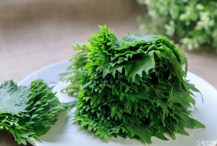 蘇子葉如何長(zhǎng)期保存 蘇子葉的功效與作用