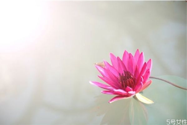三角戀怎么跟他提分手 怎樣處理三角戀關系