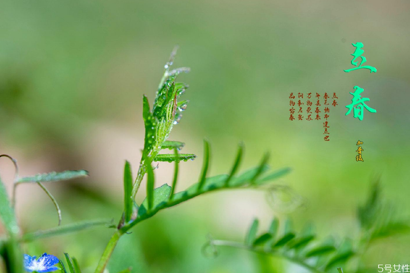 立春節(jié)氣吃什么傳統(tǒng)食物 立春的風俗及飲食