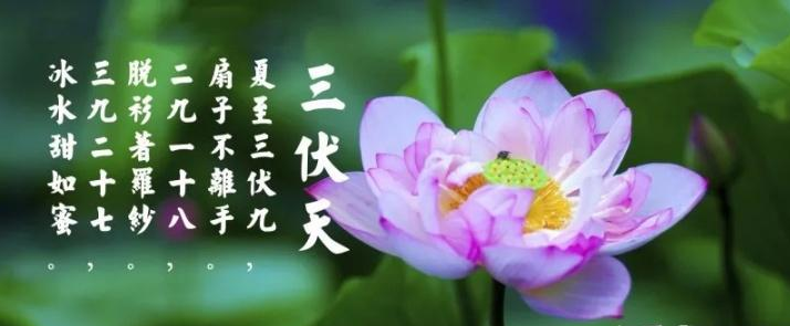 三伏天是什么？三伏天應(yīng)注意什么？