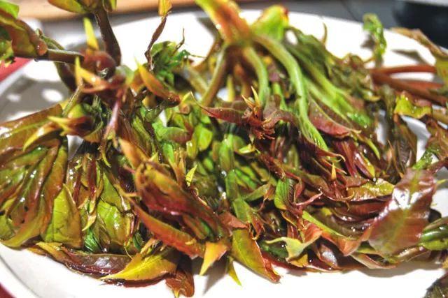 香椿頭為什么要焯水 香椿頭沒有焯水會(huì)怎樣