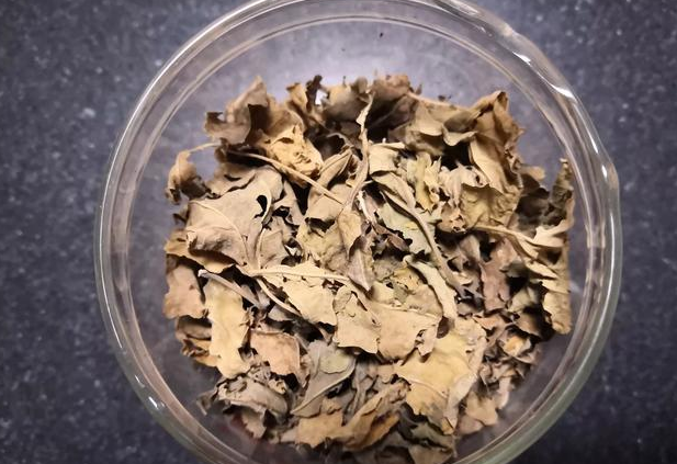 喝桑葉茶能減肥嗎?有什么副作用？