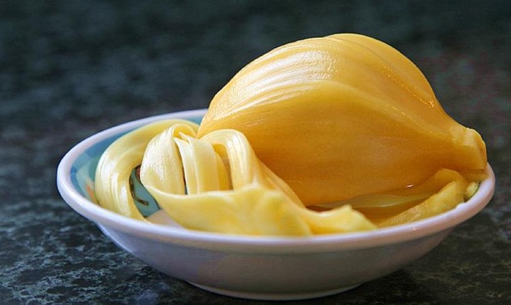 菠蘿蜜核的功效與作用、禁忌和食用方法