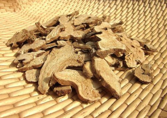 生白術與炒白術的功效區(qū)別 生白術是熱性還是涼性