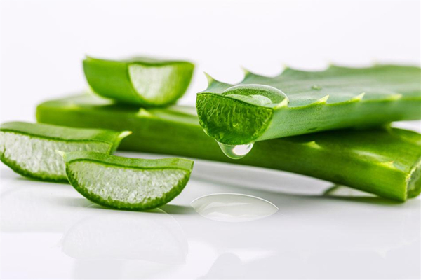 蘆薈能吃嗎 蘆薈對(duì)人體有什么好處