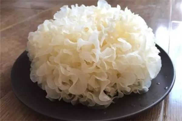 銀耳美容養(yǎng)顏嗎 銀耳會(huì)長胖嗎