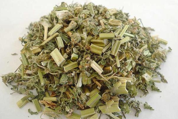 益母草可以催月經嗎 益母草催經吃幾天