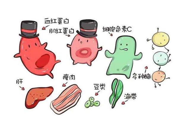 嬰兒缺鐵性貧血嚴重會怎么樣 嬰兒缺鐵性貧血吃什么藥效果好