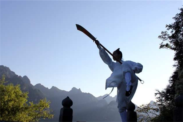 武術(shù)可以自學(xué)嗎 武術(shù)可以提高什么素質(zhì)