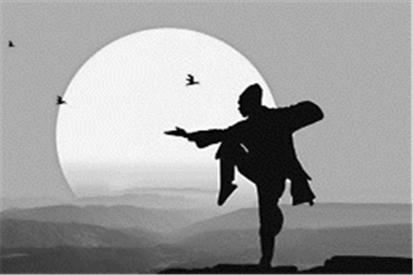 武術(shù)有實戰(zhàn)性嗎 武術(shù)有用嗎