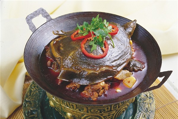 甲魚可以和雞一起燉嗎 甲魚和什么煲湯最有營(yíng)養(yǎng)