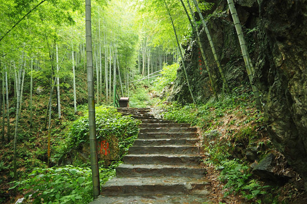 爬山是有氧運(yùn)動嗎 爬山有什么好處