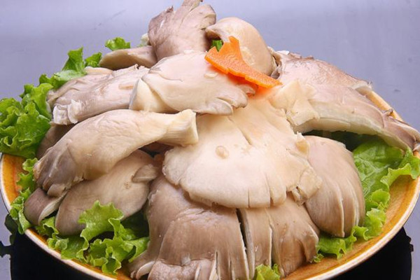 平菇什么樣的才新鮮 平菇怎么看是否變質