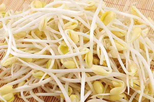 黃豆芽對肝臟有好處嗎 黃豆芽對糖尿病人有什么好處