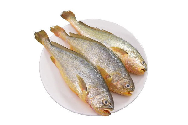黃花魚(yú)要去魚(yú)鱗嗎 黃花魚(yú)處理方法