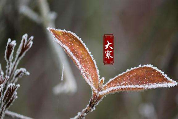 大寒為什么要吃糯米飯 大寒節(jié)氣怎么養(yǎng)生