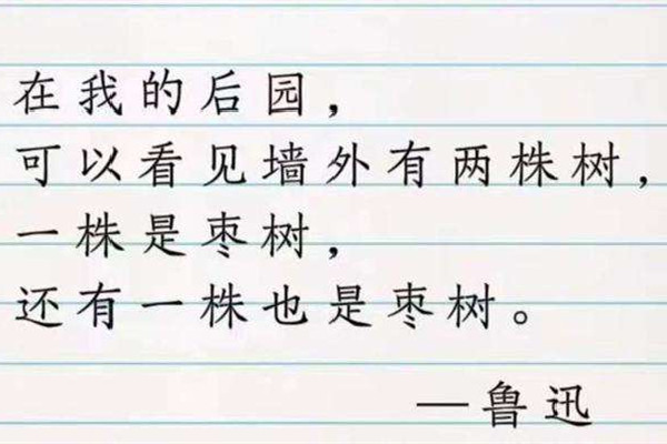 廢話文學(xué)是什么意思網(wǎng)絡(luò)用語 廢話文學(xué)是什么時候火的