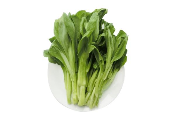 菜苔有幾種 吃紅菜苔會(huì)長胖嗎