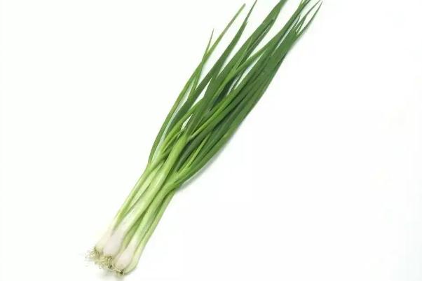 小蔥會(huì)開(kāi)花嗎 小蔥會(huì)上火嗎