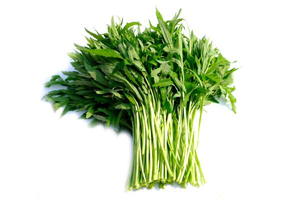 藜蒿怎么保存長(zhǎng)久 藜蒿的葉子可以吃嗎