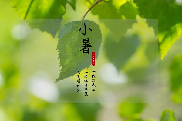 小暑節(jié)氣是幾月幾日 小暑節(jié)氣的特點和風俗