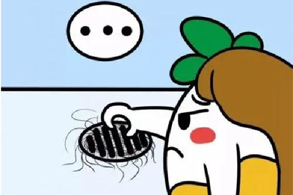 掉發(fā)有白色顆粒是什么 掉發(fā)有白色毛囊還會(huì)在長嗎