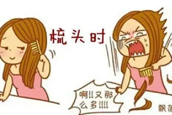 掉發(fā)可以用什么洗發(fā)水 掉發(fā)用什么產品效果比較好