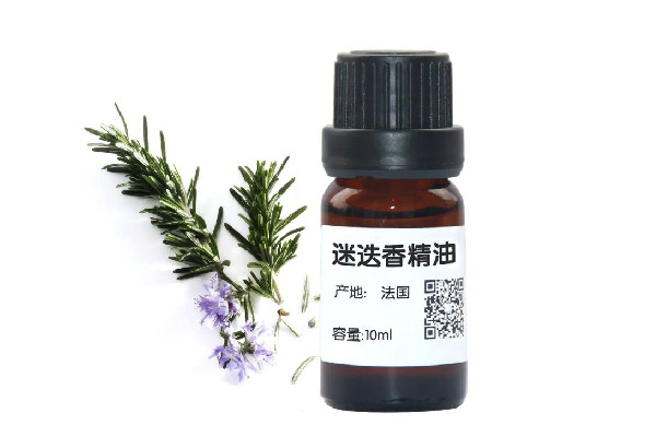 迷迭香精油適合什么膚質 迷迭香精油可以用在臉上嗎