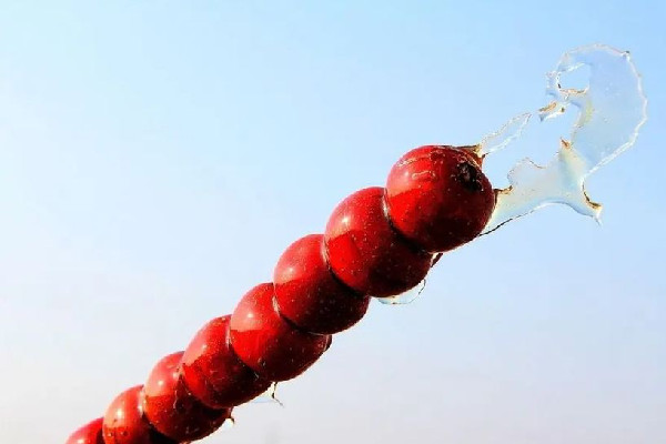 冰糖葫蘆為什么會(huì)化成水 冰糖葫蘆為什么冬天才有